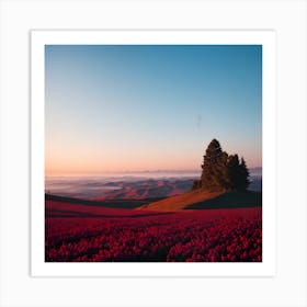 Sunrise In Tulips Art Print