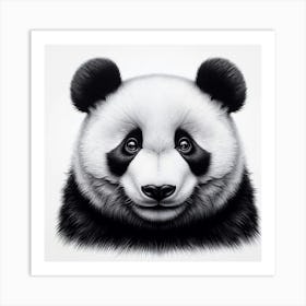 Panda Bear 10 Art Print