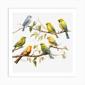 Birds On A Branch Art Print