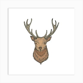 Deer Head Vector Illustration Art Print
