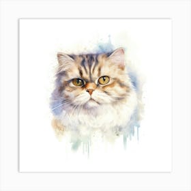 Scottish Fold Longhair Cat Portrait 2 Art Print