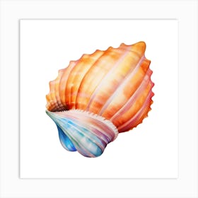 Colorful Sea Shell Isolated On White Photo Art Print