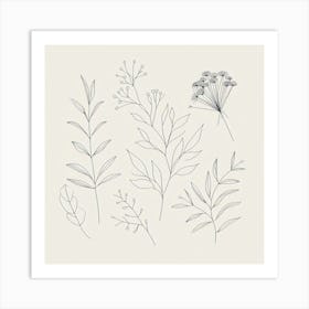 Botanical Drawing 5 Art Print