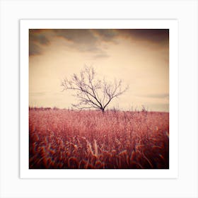 Tree under the clouds Art Print