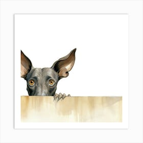 Xoloitzcuintli Dog 2 Art Print