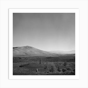 Craters Of The Moon National Monument, Idaho By Russell Lee Art Print