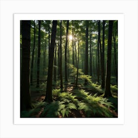 Fern Forest Art Print