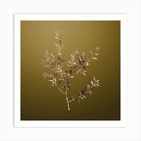 Gold Botanical Myrtle Dahoon Branch on Dune Yellow n.4526 Art Print