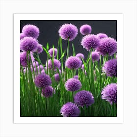 Chrysanthemums 1 Art Print