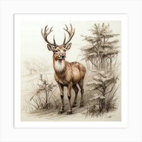 Deer! 67 Art Print