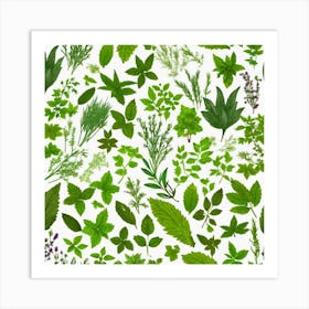 Seamless Pattern Of Herbs 3 Art Print