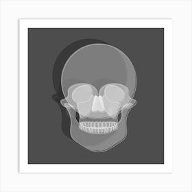 Human Skull Art Print