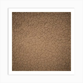 Aerial View Of A Dry Desert Art Print