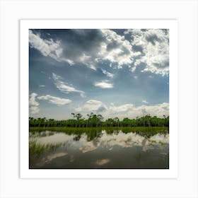 Reflection In A Swamp Art Print