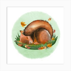 Squirrel/écureuil Art Print