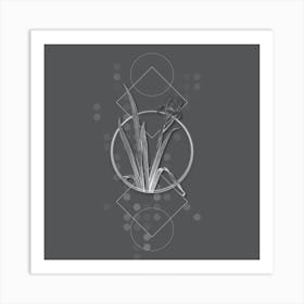 Vintage Crimean Iris Botanical with Line Motif and Dot Pattern in Ghost Gray n.0238 Art Print