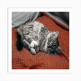 Cat Resting On A Sofa Art Print