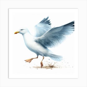 Gull 3 Art Print