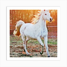 White horse 1 Art Print