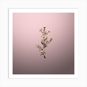 Gold Botanical Glaucous Aster Flower on Rose Quartz n.4203 Art Print