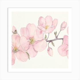 Pink Cherry Blossoms Art Print