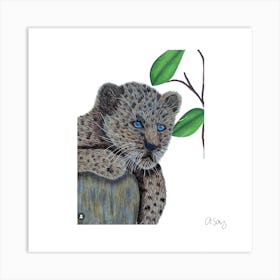 Baby Leopard. 1 Art Print