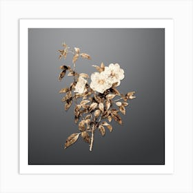 Gold Botanical White Rose of Snow on Soft Gray n.4200 Art Print