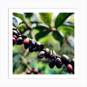 Coffee Beans On The Tree 1 Art Print