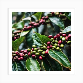 Coffee Beans On A Tree 20 Art Print