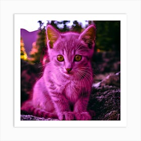 Pink Kitten With Neon Yellow Eyes Art Print