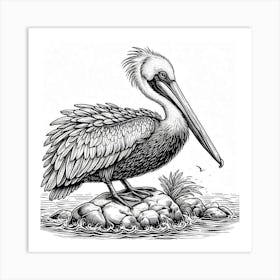 Line Art pelican Art Print