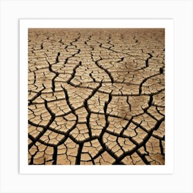 Dry And Cracked Desert Art Print