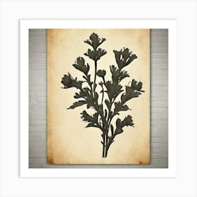 Botanical Print Art Print