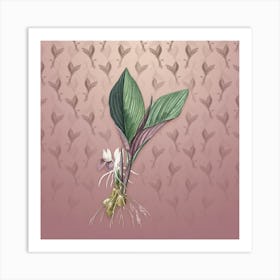 Vintage Koemferia Longa Botanical on Dusty Pink Pattern n.0479 Art Print