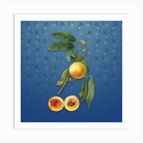 Vintage Peach Botanical on Bahama Blue Pattern n.0352 Art Print