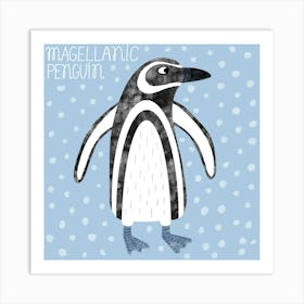 Magellanic Penguin 1 Poster