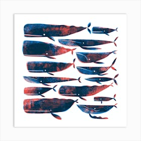 Printed Whales Art Print