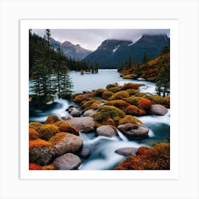 Rocky Mountain Stream Art Print