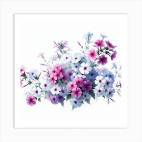 Flowers of Phlox 1 Art Print