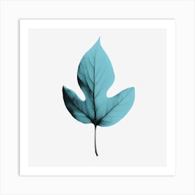 Leaf Art Art Print