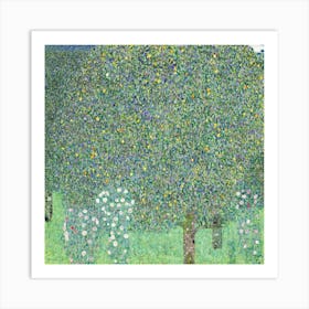 Rosebushes Under The Trees (1905), Gustav Klimt Art Print