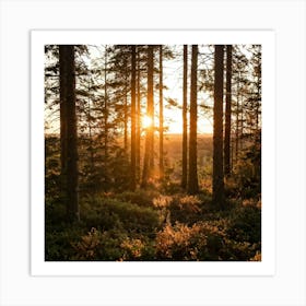 Sunset In The Forest Art Print