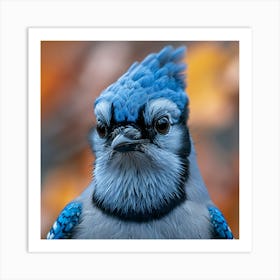 Blue Jay 3 Art Print