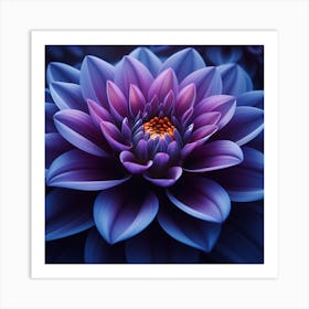 Purple Dahlia Art Print