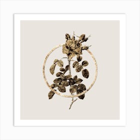 Gold Ring Four Seasons Rose in Bloom Glitter Botanical Illustration n.0185 Art Print