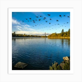 Geese Flying Over Lake 2 Art Print