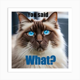 You said what? cat Art Print