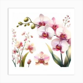 Orchid 6 Art Print