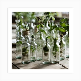 Glass Bottles With Plants Art Print