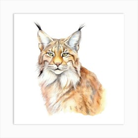 Balkan Lynx Cat Portrait Art Print